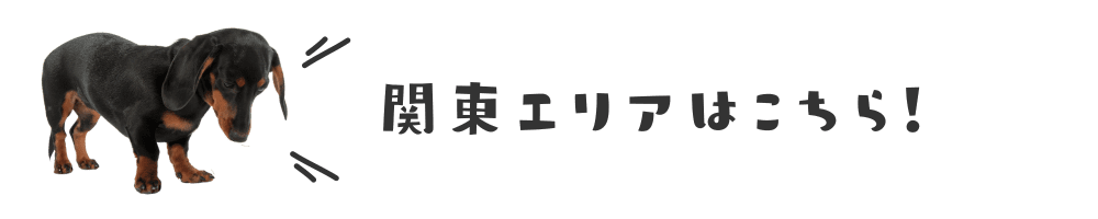 犬イベント　関東