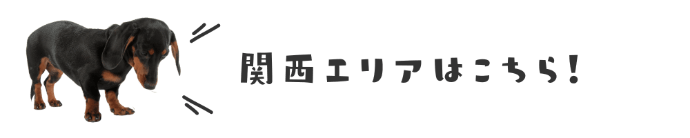 犬イベント　関西