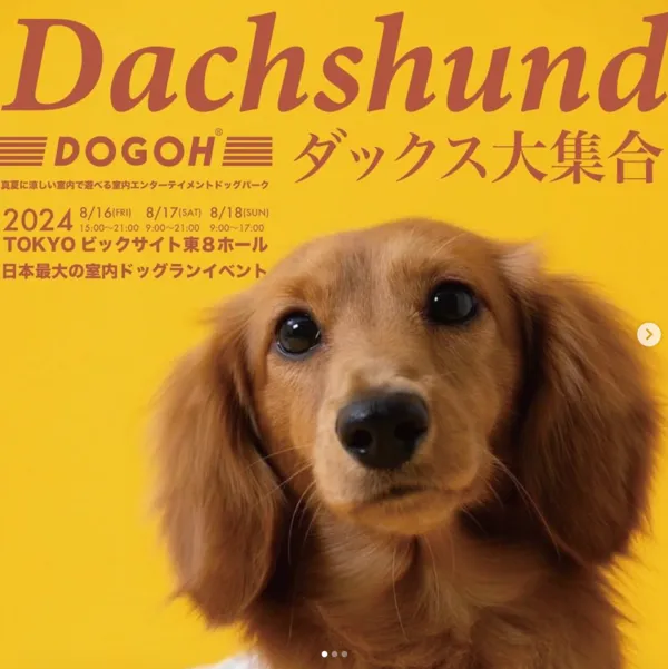 DOGOH INDOOR DOGPARK TOKYO