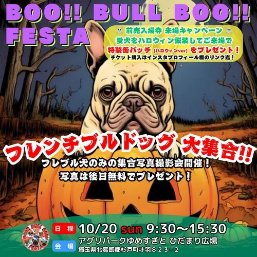 BOO!! BULL BOO!! FESTA