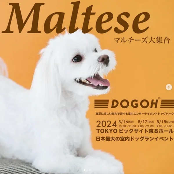 DOGOH INDOOR DOGPARK TOKYO