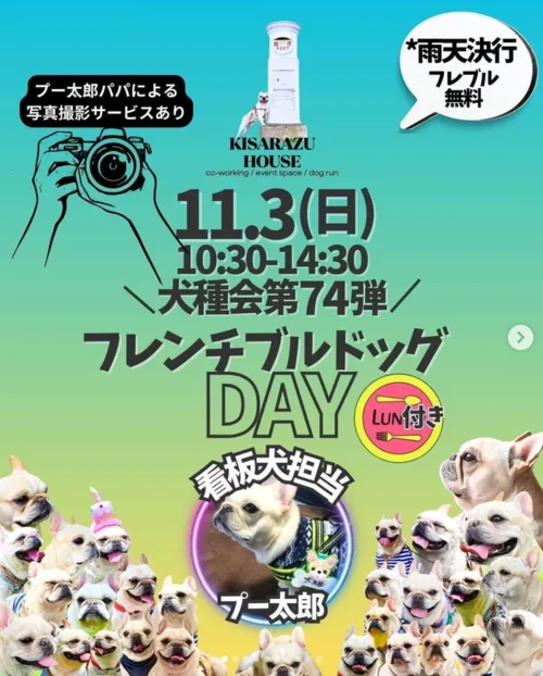 フレブルDAY