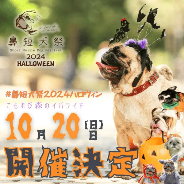 鼻短犬祭 2024 HALLOWEEN