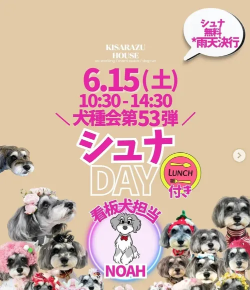 シュナDAY