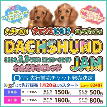 DACHSHUND JAM