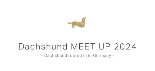 Dachshund MEET UP 2024