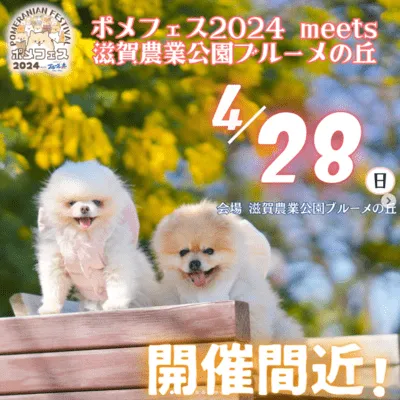 ポメフェス2024 meets 滋賀農業公園ブルーメの丘