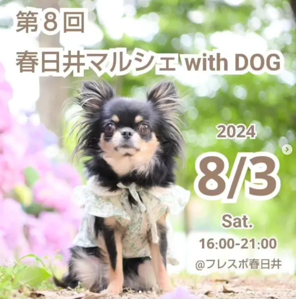 第8回 春日井マルシェ with DOG