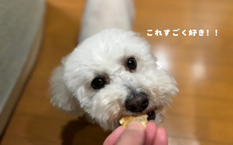 チキンテンダー