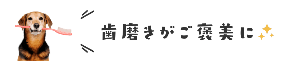 歯磨きがご褒美に