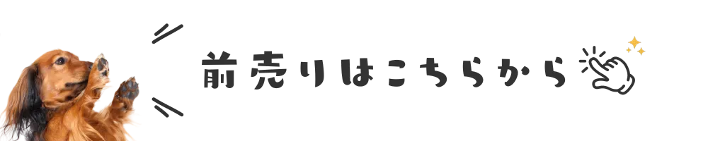 前売りはこちらから