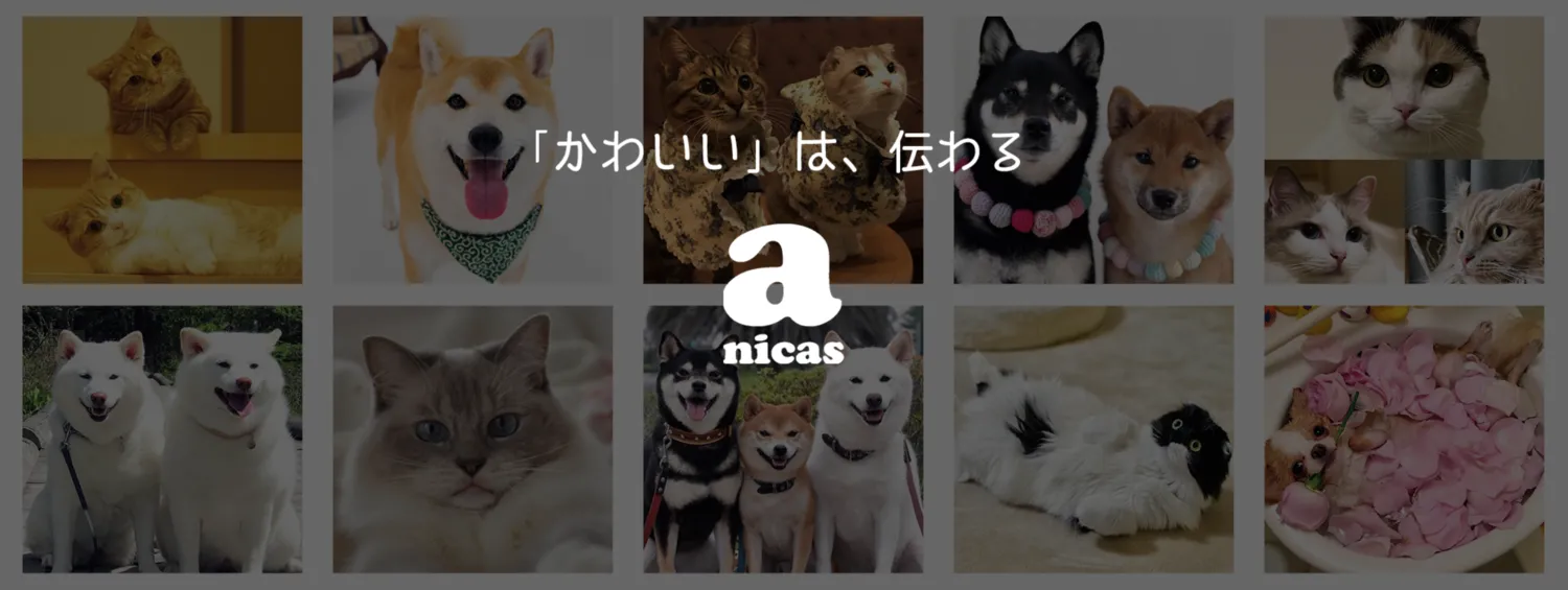 anicas（アニキャス）ペットタレントオーディション