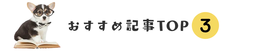 おすすめ記事TOP3