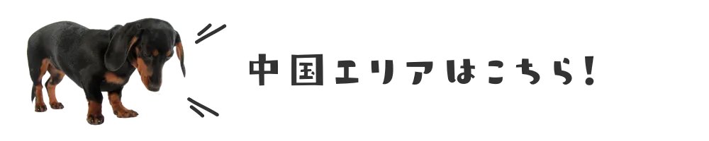 中国エリア　犬イベント