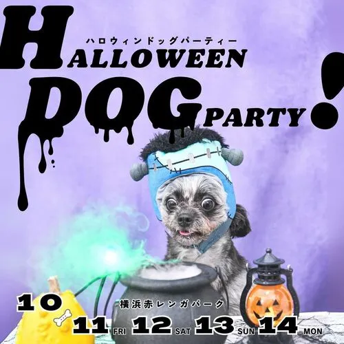 HALLOWEEN DOG PARTY! 