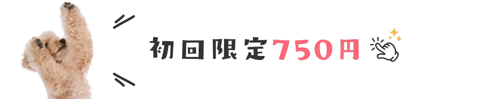 初回限定750円