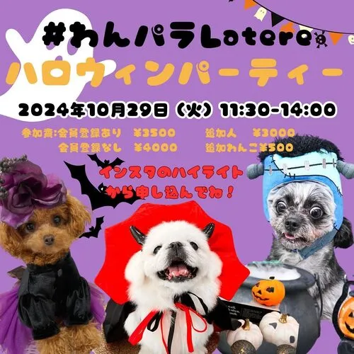 わんパラLatere ハロウィンパーティー