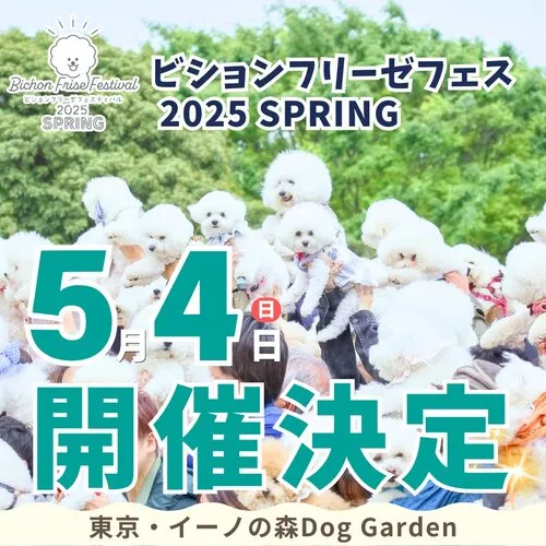 ビションフリーゼフェスティバル 2025 SPRING