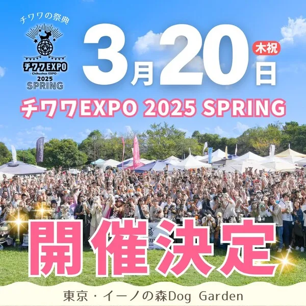 チワワEXPO 2025 SPRING