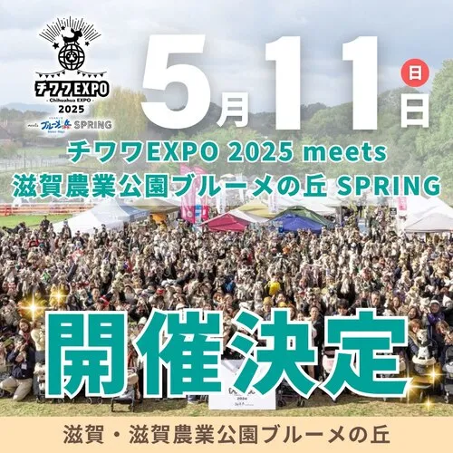 チワワEXPO 2025 meets 滋賀農業公園ブルーメの丘 SPRING