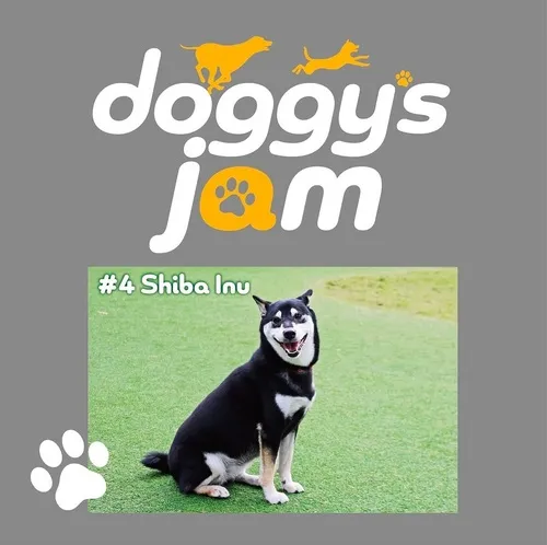 第4回 doggy's jam 柴犬オフ会