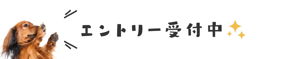 エントリー受付中