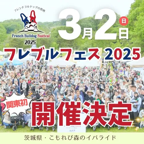 フレブルフェス 2025