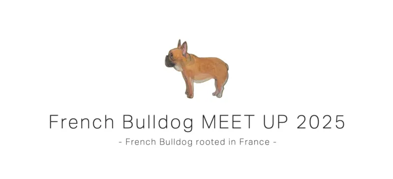 French Bulldog MEET UP 2025