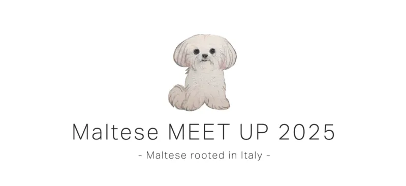 Maltese MEET UP 2025