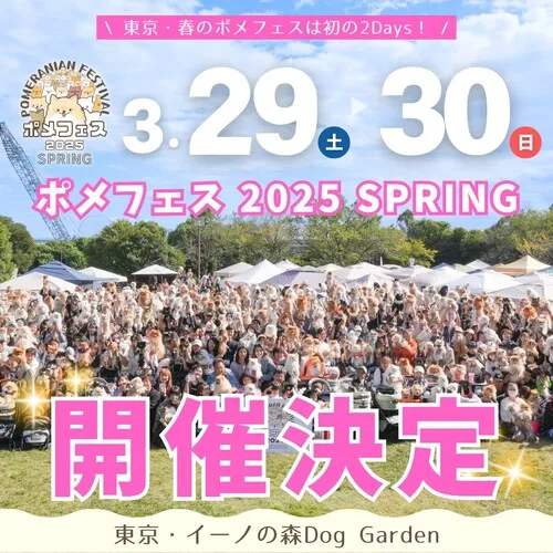 ポメラニアンフェスティバル 2025 SPRING