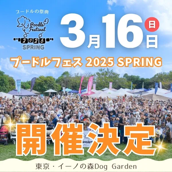 プードルフェスティバル 2025 SPRING