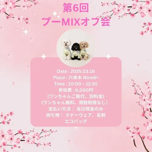 第6回 プーMIXオフ会