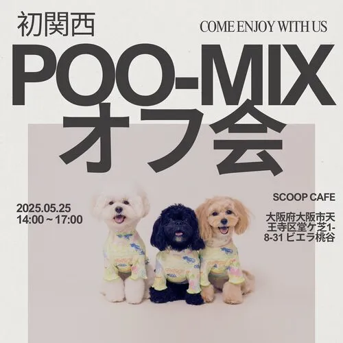 POO-MIXオフ会