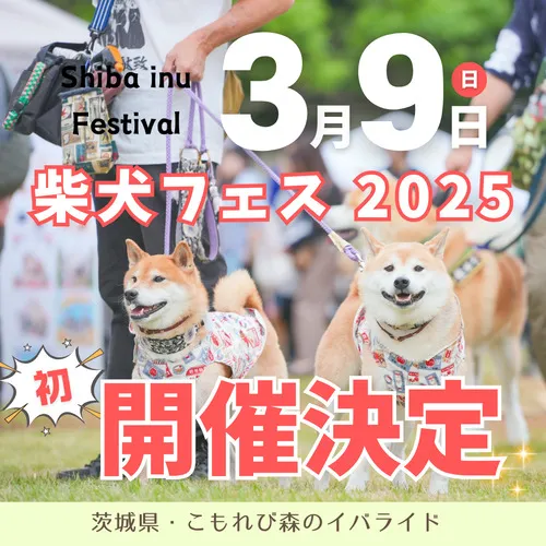 柴犬フェスティバル 2025