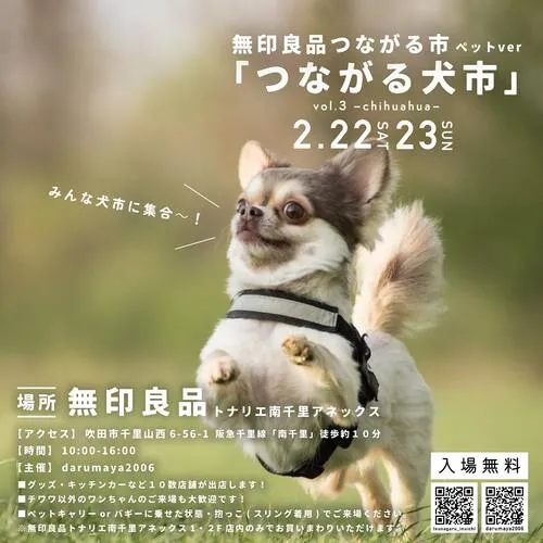 「つながる犬市」 vol.3 チワワ