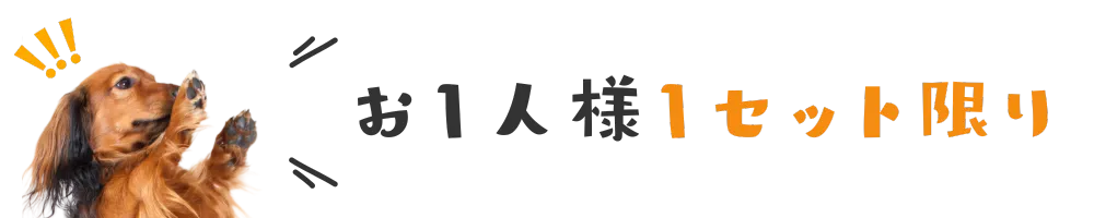 お一人様1セット限り