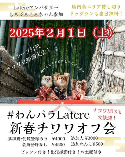 わんパラLatere 新春チワワオフ会