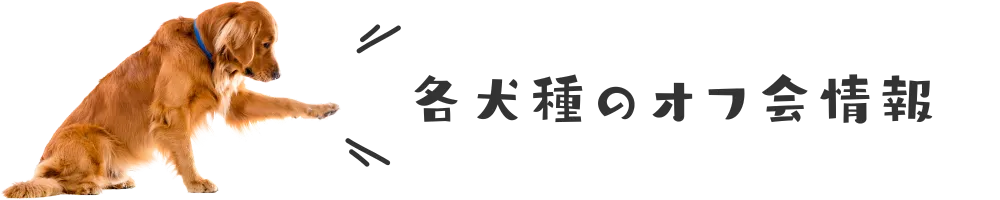 各犬種のオフ会情報