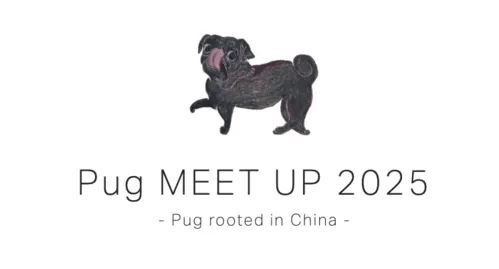 Pug MEET UP 2025