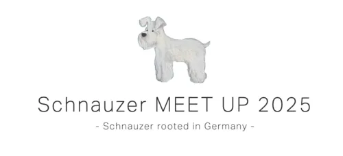 Schnauzer MEET UP 2025